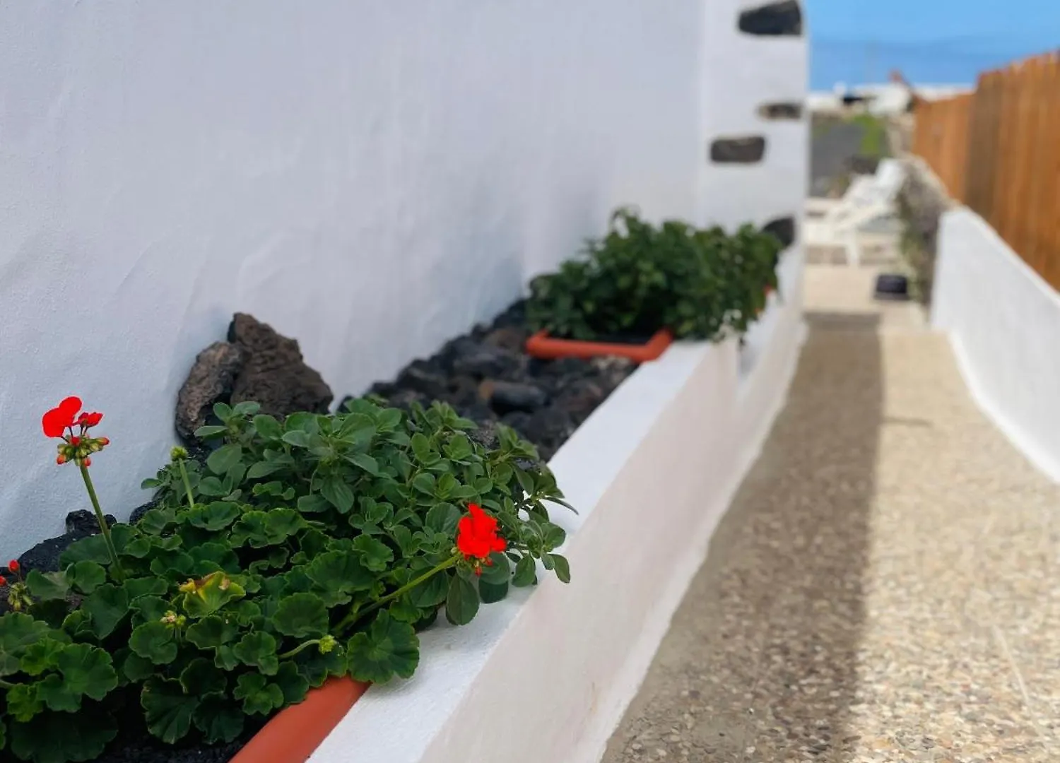 Apartamento Rural Yemita Tinajo Apartment