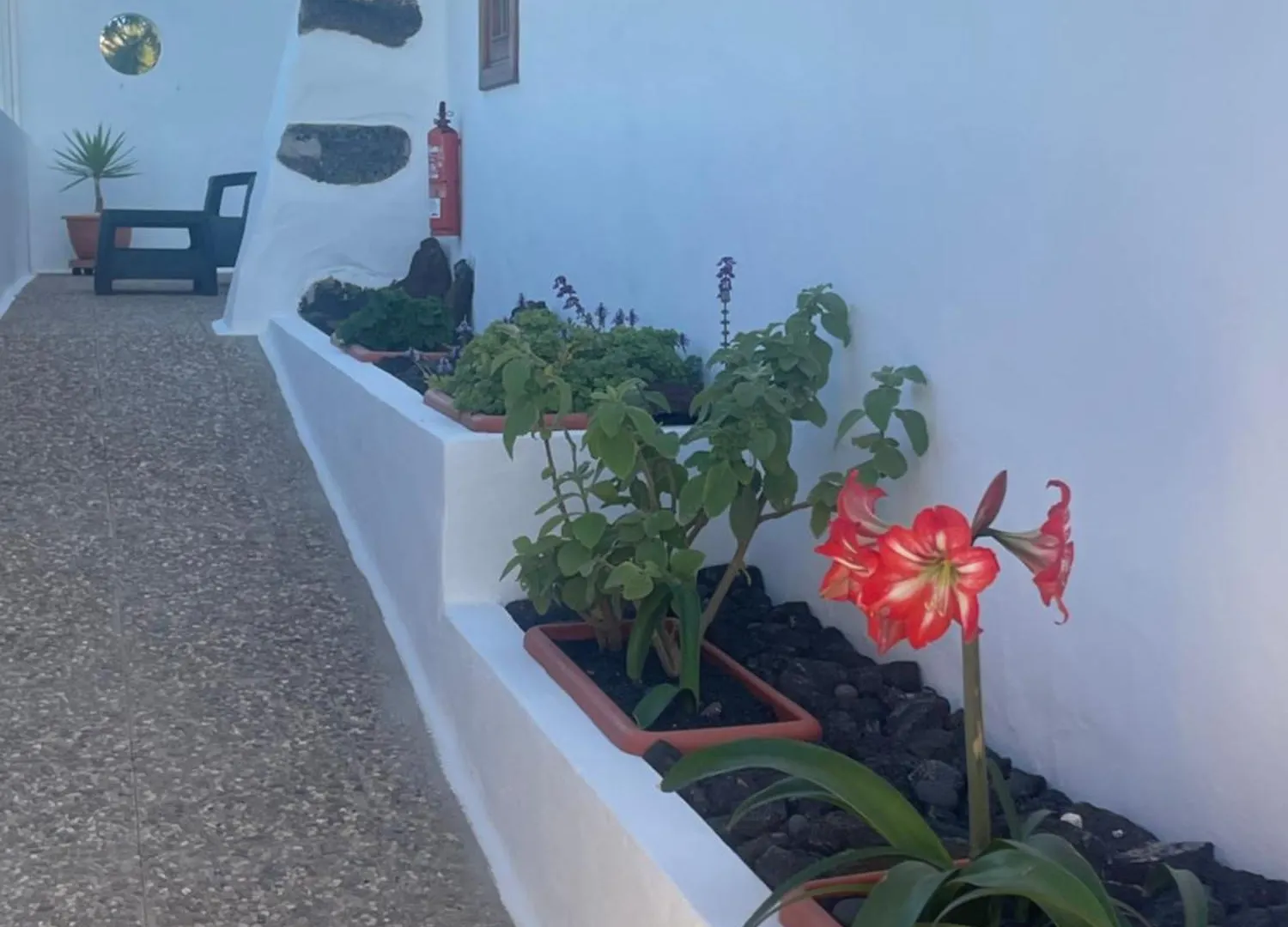 Apartment Apartamento Rural Yemita Tinajo Spain